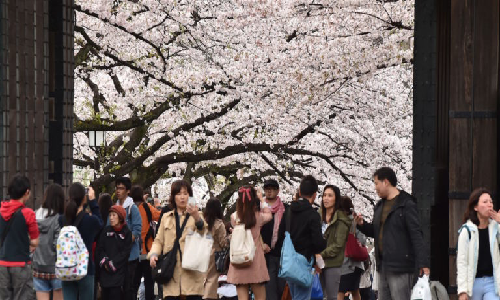 Dennis Prager Visits Japan, Asks Why Crime Is Low